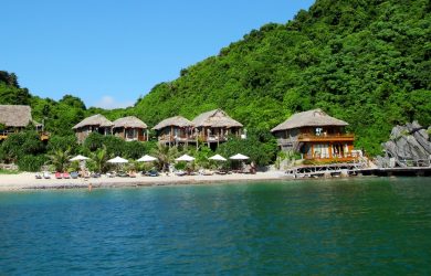 monkey island resort